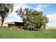986 Duri-Dungowan Road “Tolivar”, Timbumburi NSW 2340
