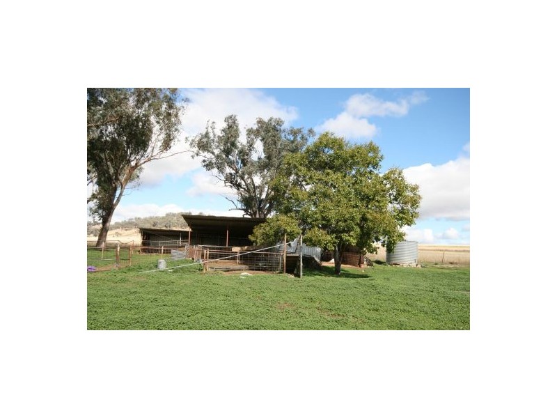986 Duri-Dungowan Road “Tolivar”, Timbumburi NSW 2340