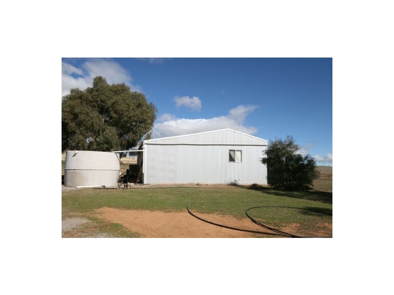 986 Duri-Dungowan Road “Tolivar”, Timbumburi NSW 2340