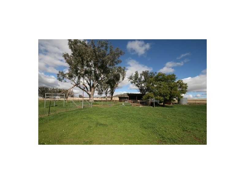 986 Duri-Dungowan Road “Tolivar”, Timbumburi NSW 2340