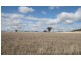 986 Duri-Dungowan Road “Tolivar”, Timbumburi NSW 2340