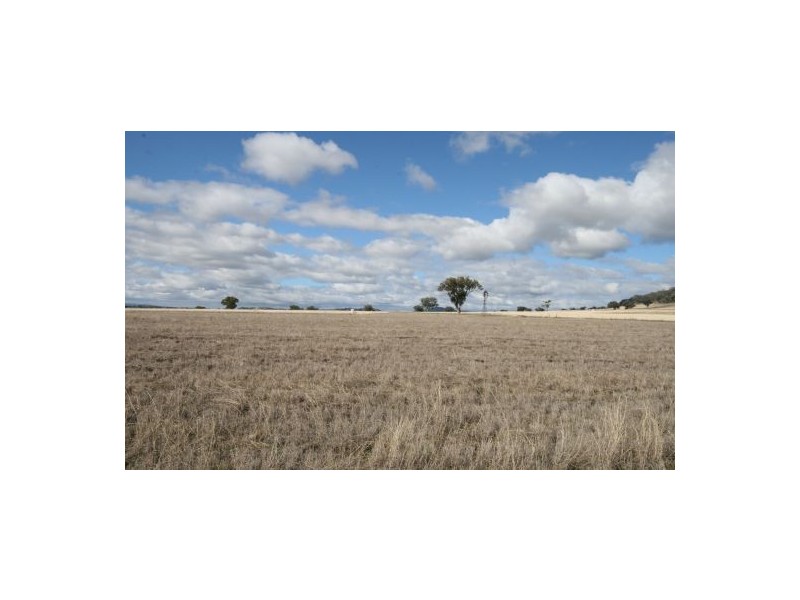 986 Duri-Dungowan Road “Tolivar”, Timbumburi NSW 2340