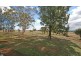 986 Duri-Dungowan Road “Tolivar”, Timbumburi NSW 2340