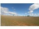986 Duri-Dungowan Road “Tolivar”, Timbumburi NSW 2340