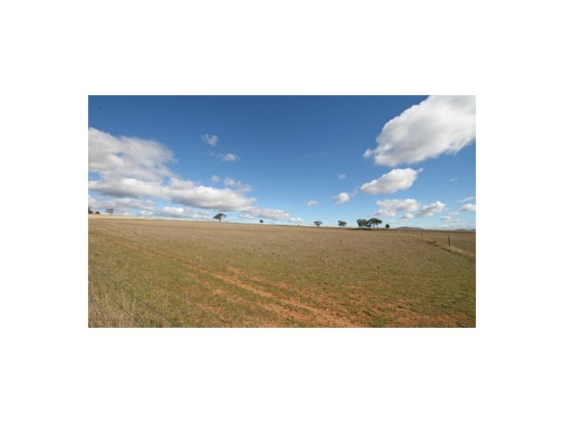 986 Duri-Dungowan Road “Tolivar”, Timbumburi NSW 2340