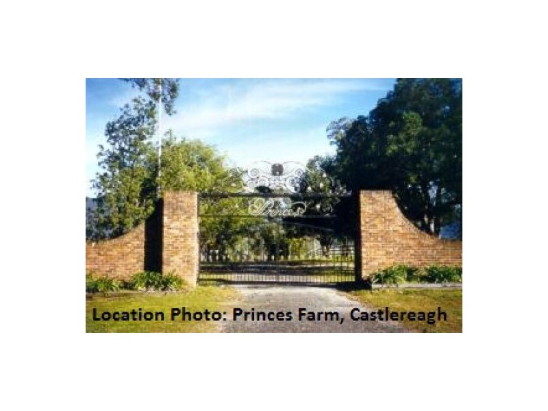 57 Sheredan Road, Castlereagh NSW 2749