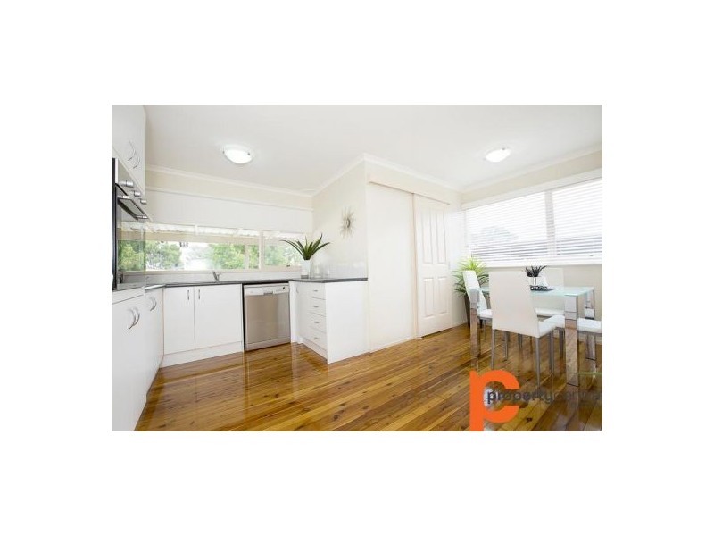 23 Mosely Avenue, South Penrith NSW 2750