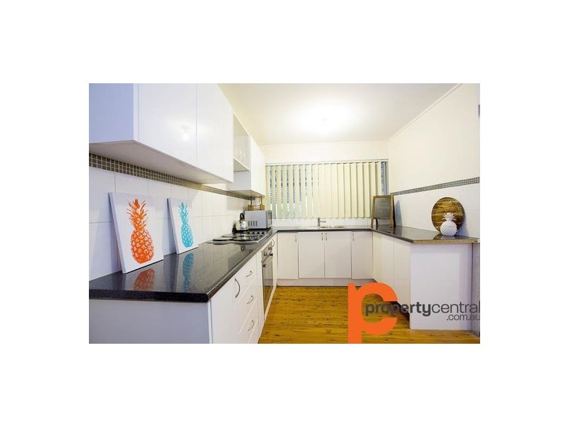 19 Grandview Street, South Penrith NSW 2750