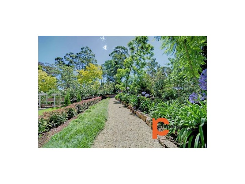 195 Singles Ridge Road, Yellow Rock NSW 2777