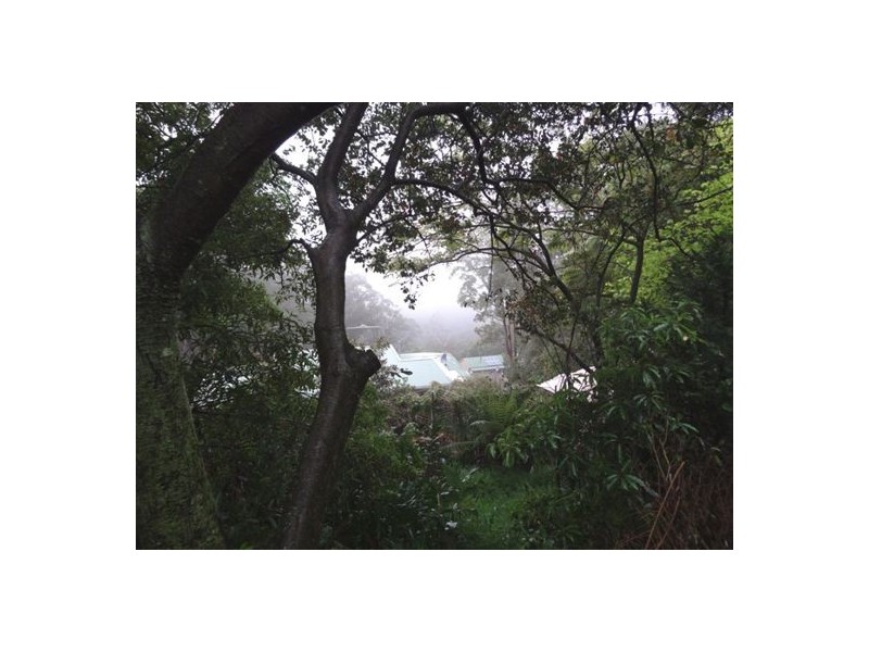 56 Valley Road, Hazelbrook NSW 2779