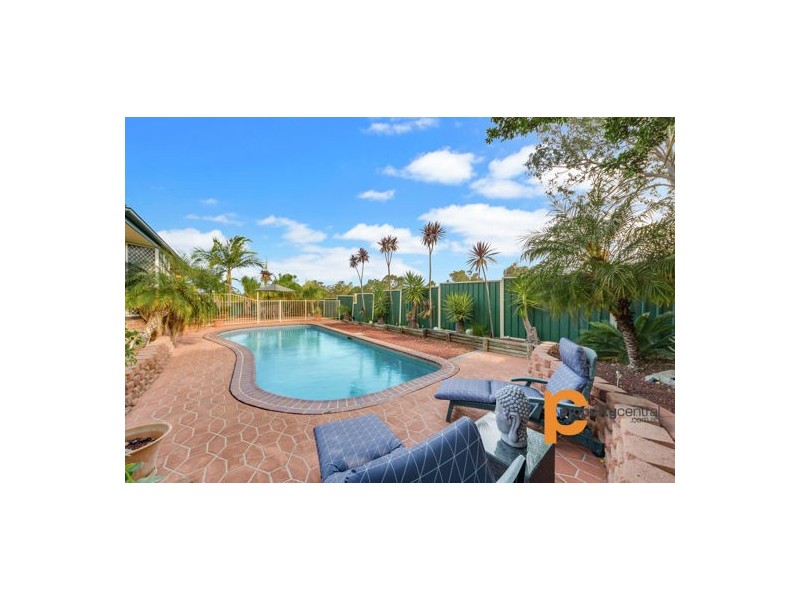 113 Farmview Drive, Cranebrook NSW 2749