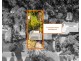 17 Crampton Drive, Springwood NSW 2777
