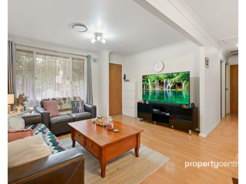 100 Ross Crescent, Blaxland NSW 2774