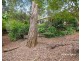 100 Ross Crescent, Blaxland NSW 2774