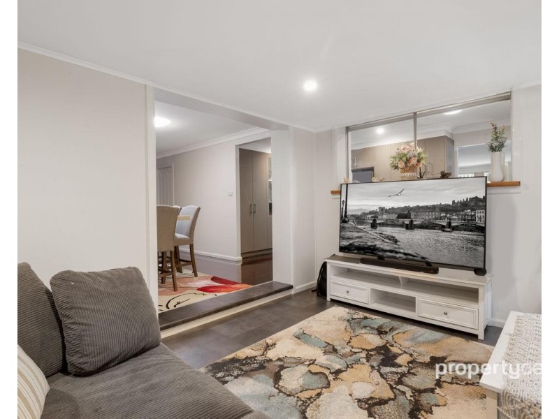 20 Dallas Avenue, South Penrith NSW 2750