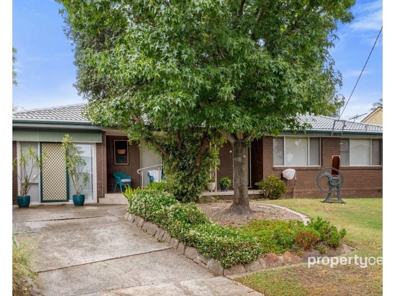 31 Jean Street, Kingswood NSW 2747