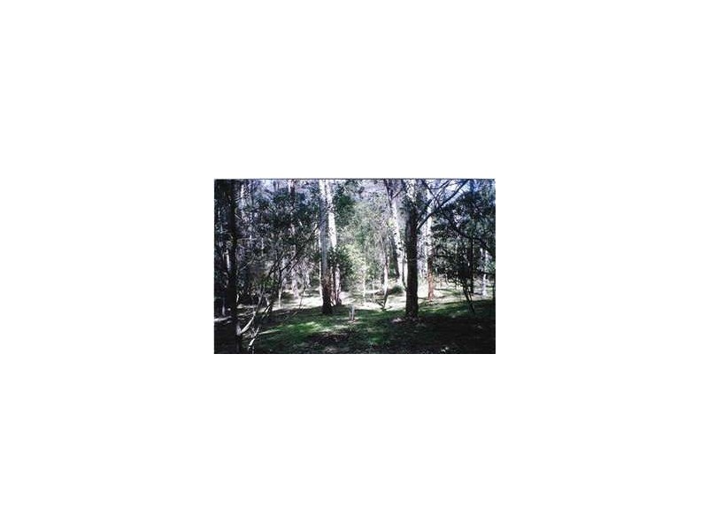 Hazelbrook NSW 2779