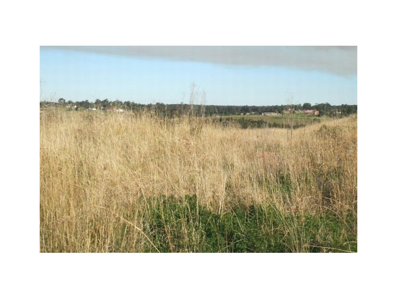 Orchard Hills NSW 2748