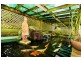 .184 River Road, Leonay NSW 2750
