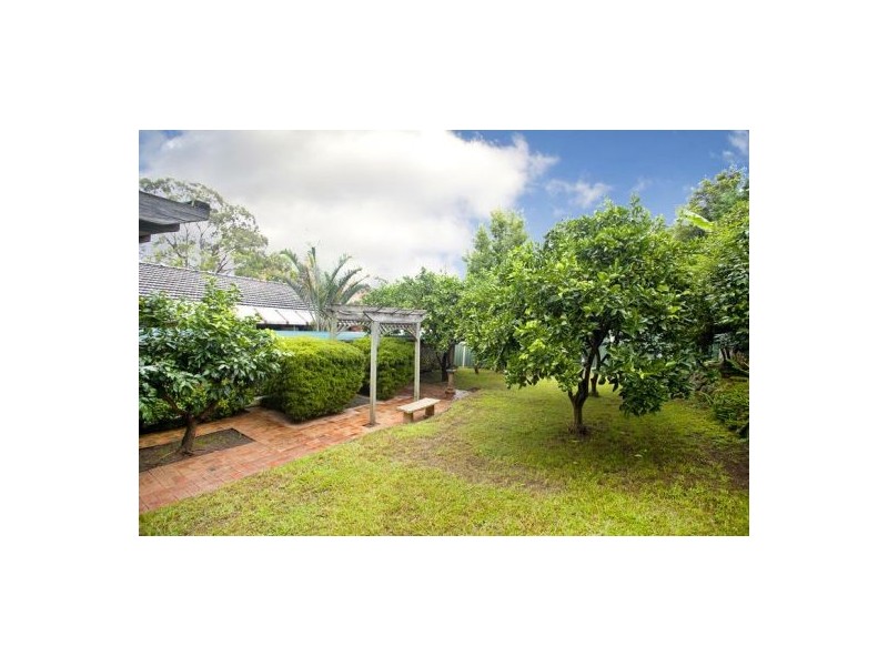.184 River Road, Leonay NSW 2750
