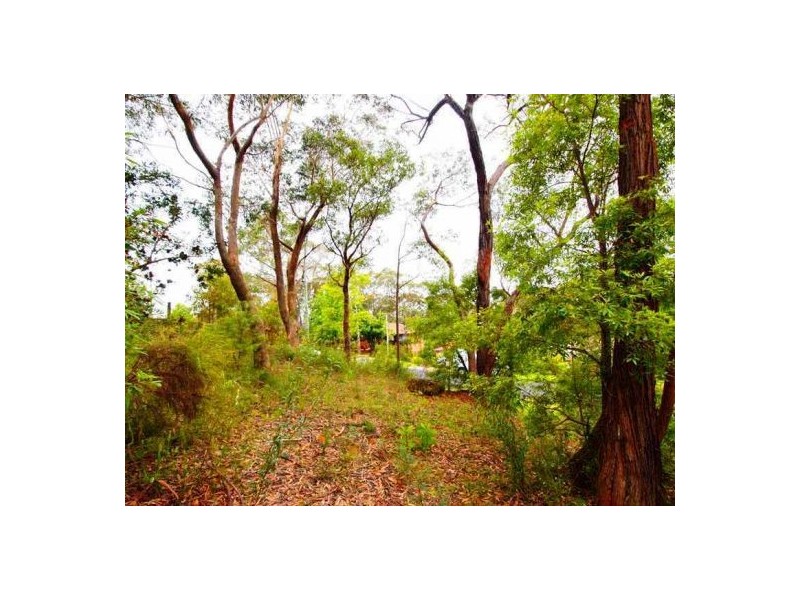 108 Hall Parade, Hazelbrook NSW 2779