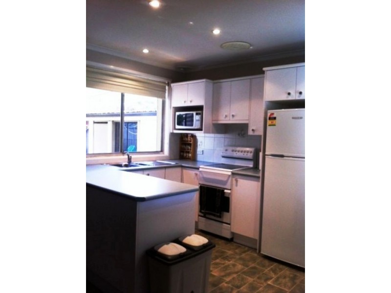 38 Lyn Circuit, South Penrith NSW 2750