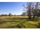14, Sheba Crescent, South Penrith NSW 2750