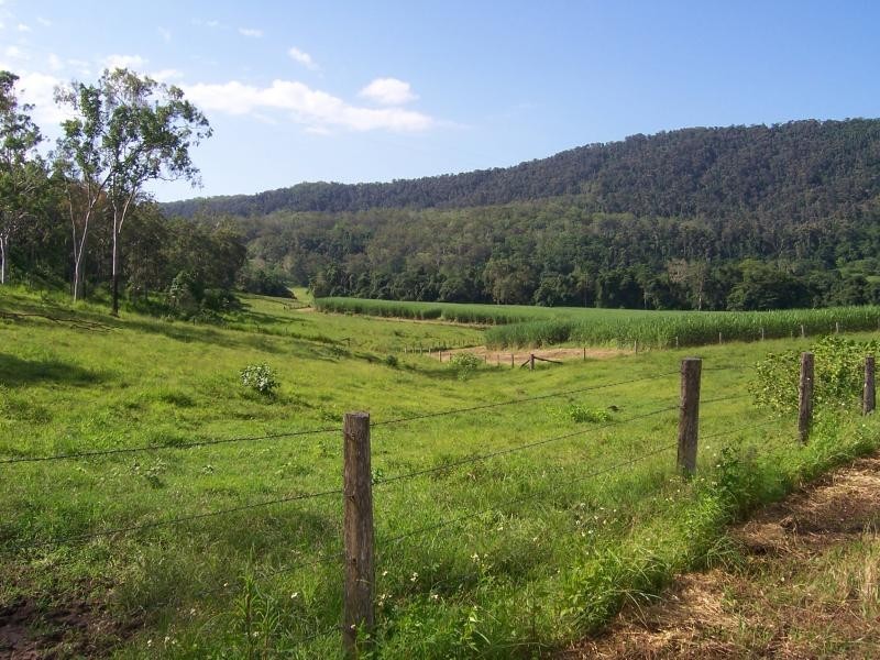 487 Paskins Road, Yalboroo QLD 4741