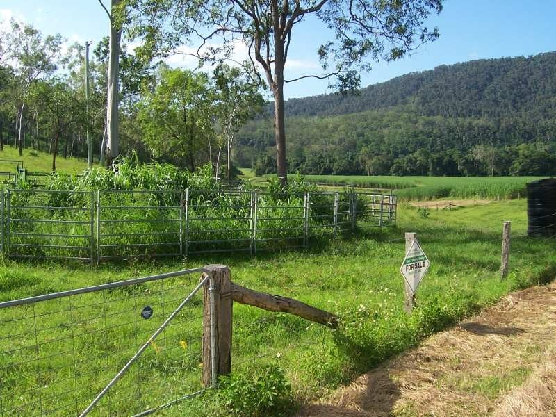 487 Paskins Road, Yalboroo QLD 4741