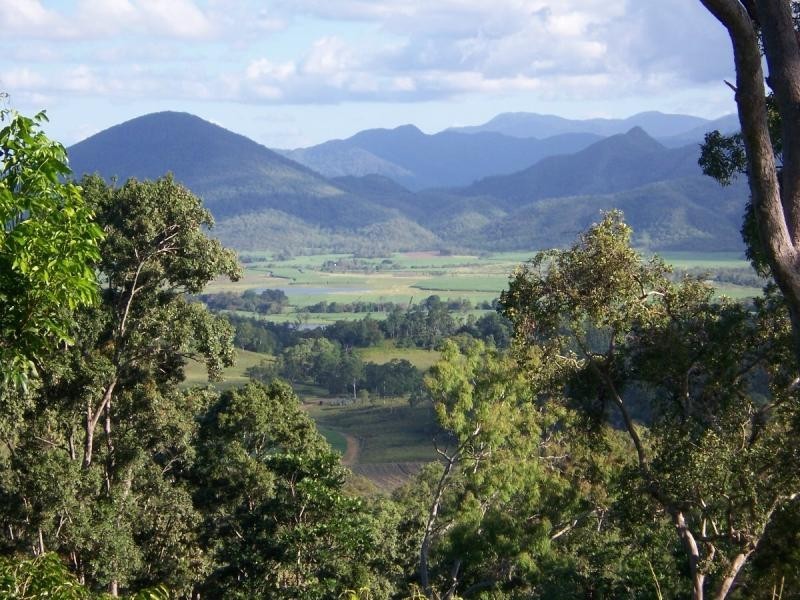 487 Paskins Road, Yalboroo QLD 4741