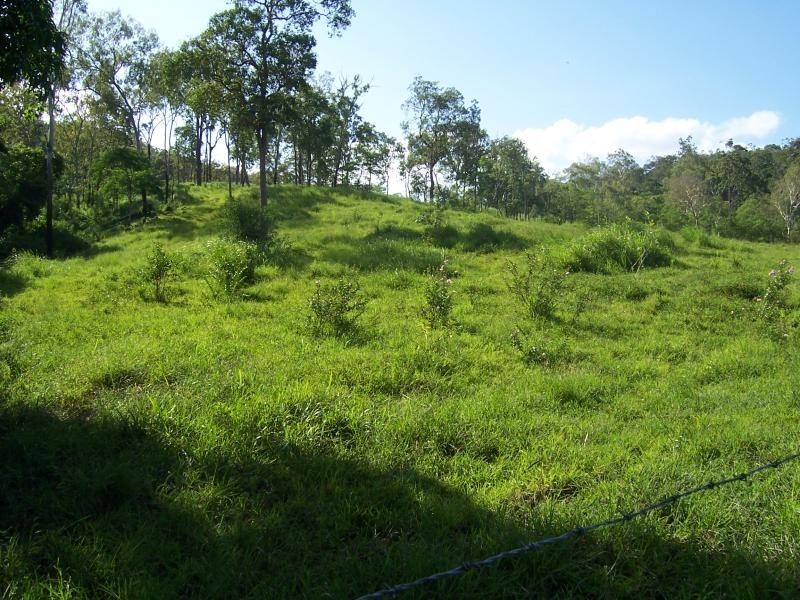 487 Paskins Road, Yalboroo QLD 4741