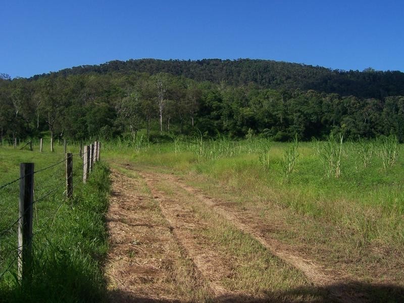 487 Paskins Road, Yalboroo QLD 4741