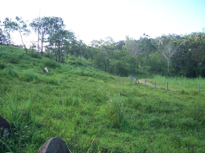 487 Paskins Road, Yalboroo QLD 4741