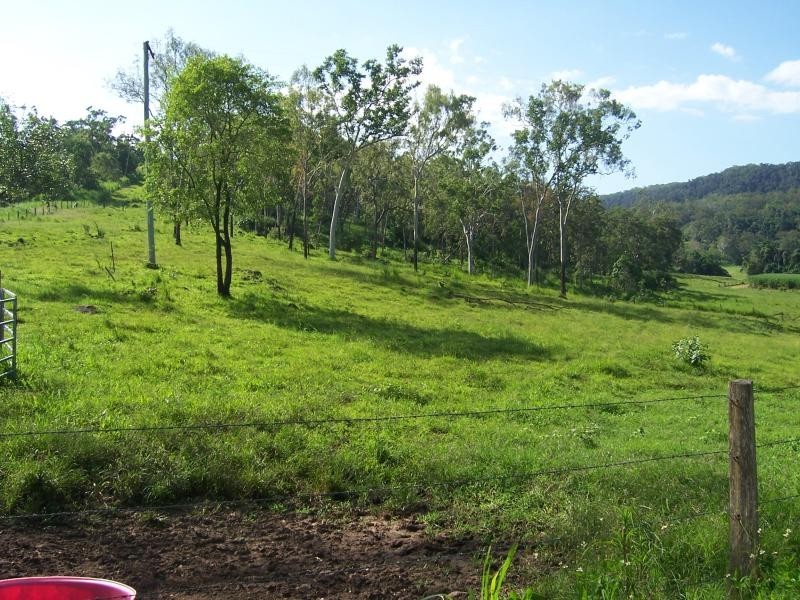 487 Paskins Road, Yalboroo QLD 4741