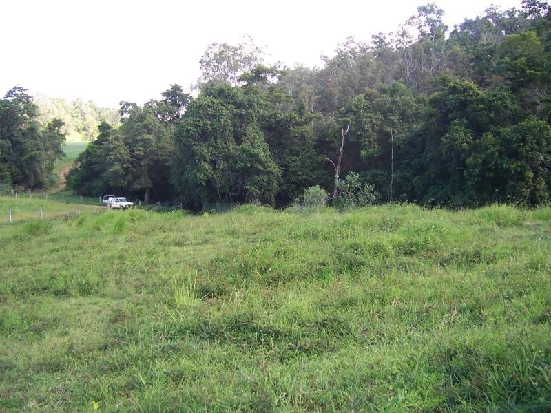 487 Paskins Road, Yalboroo QLD 4741