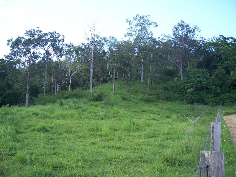 487 Paskins Road, Yalboroo QLD 4741