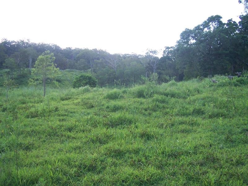 487 Paskins Road, Yalboroo QLD 4741