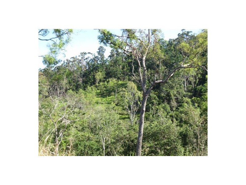 487 Paskins Road, Yalboroo QLD 4741