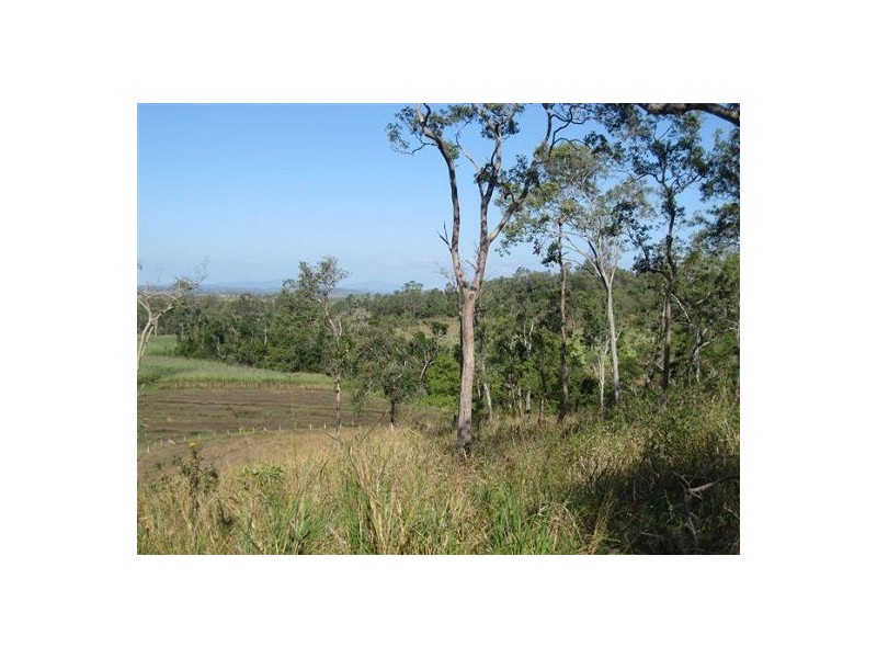 487 Paskins Road, Yalboroo QLD 4741