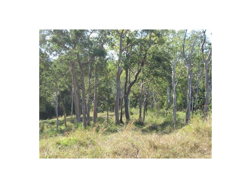 487 Paskins Road, Yalboroo QLD 4741