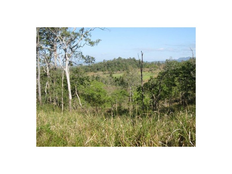 487 Paskins Road, Yalboroo QLD 4741