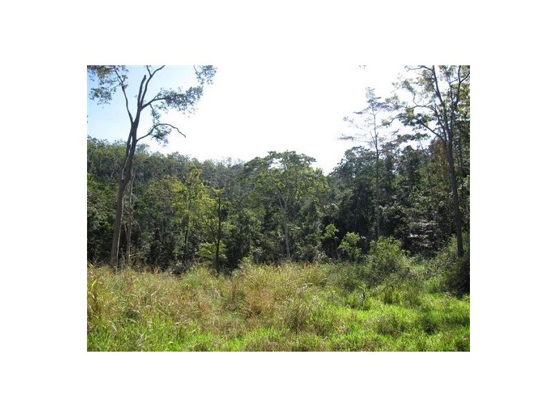 487 Paskins Road, Yalboroo QLD 4741