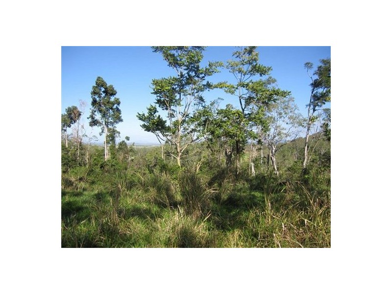 487 Paskins Road, Yalboroo QLD 4741