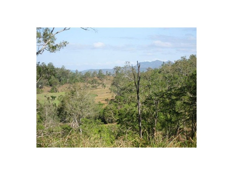 487 Paskins Road, Yalboroo QLD 4741