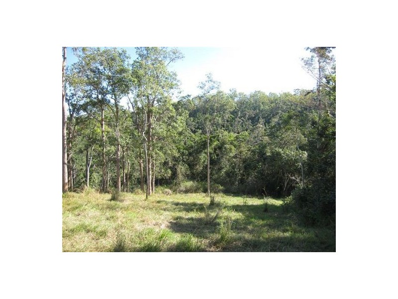 487 Paskins Road, Yalboroo QLD 4741