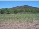 Lot 2 Wagoora-Yalboroo Road, Yalboroo QLD 4741