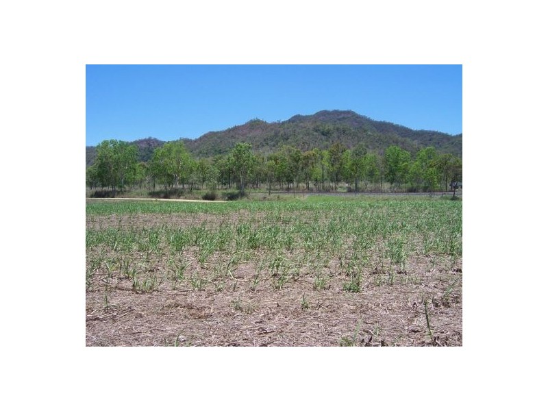 Lot 2 Wagoora-Yalboroo Road, Yalboroo QLD 4741