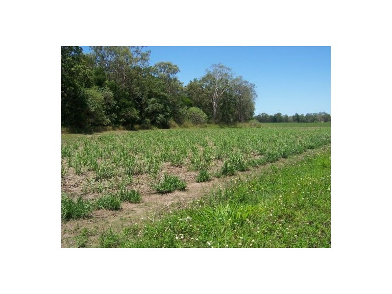 Lot 2 Wagoora-Yalboroo Road, Yalboroo QLD 4741