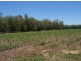 Lot 2 Wagoora-Yalboroo Road, Yalboroo QLD 4741