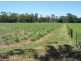 Lot 2 Wagoora-Yalboroo Road, Yalboroo QLD 4741